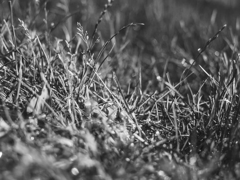 partners screenshot 3